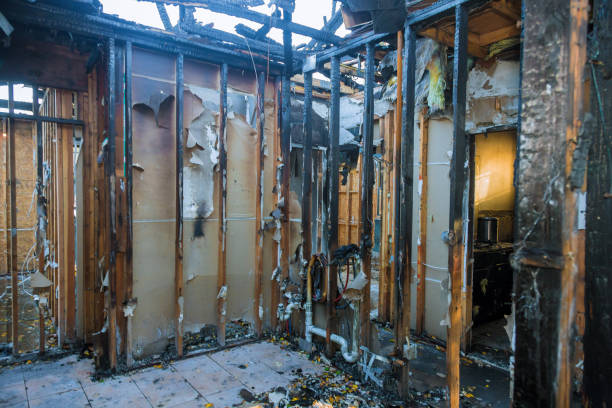 Professional Soot Removal technician working in Highland, MD